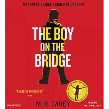 The Boy on the Bridge