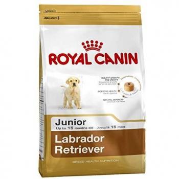 Royal Canin Junior Labrador Feed for Young Labrador