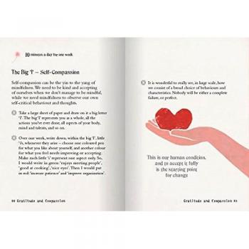 The Little Book of Mindfulness: 10 minutes a day to less stress, more peace