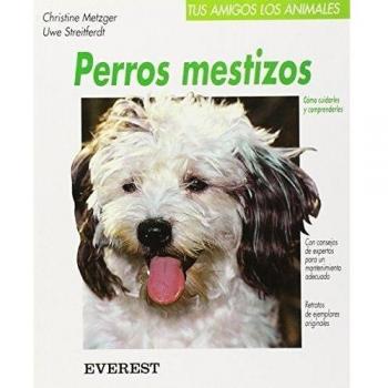 Perros mestizos: Cómo cuidarles y comprenderles