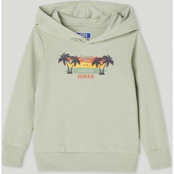 Sudadera Jack & Jones JJSUMMER JNR