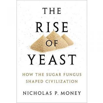 The Rise of Yeast: How the sugar fungus shaped civilisation