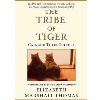 The Tribe of Tiger: A Paperback Exploration of Feline Social Structures
