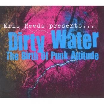 Dirty Water: The Birth of Punk Attitude - Illustrated Book with Inclusivity Features
