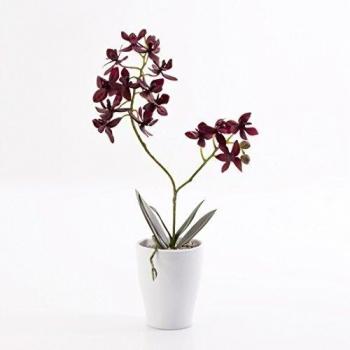 Pequeña orquídea phalaenopsis artificial EMILY en maceta, violeta, 35 cm - Flor decorativa / Planta sintética - artplants