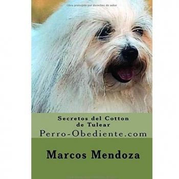 Secretos del Cotton de Tulear: Perro-Obediente.com