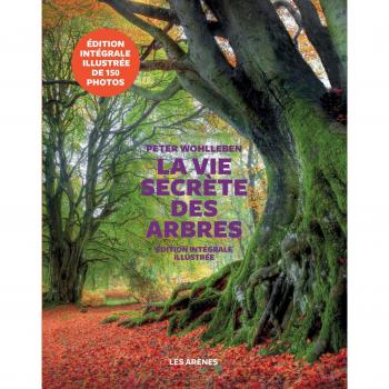 La Vie secrète des arbres - Edition illustrée