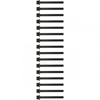 Juego de tornillos de culata REINZ 14-55007-01, incluye pernos de alta calidad, diseño específico para asegurar un sellado óptimo en la culata del motor, fabricado con materiales duraderos y resistentes a