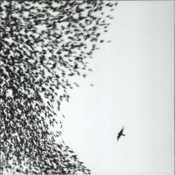 Wilco Sky Blue Sky 2017 German 2-LP vinyl set 075597998689