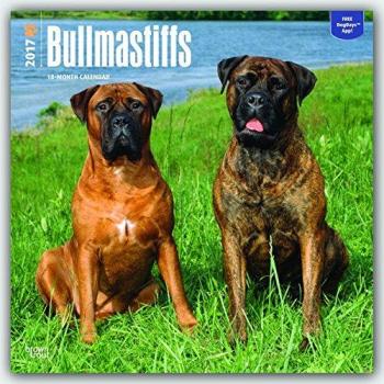 Bullmastiffs 2017 - 18-Monatskalender mit freier DogDays-App: Original BrownTrout-Kalender