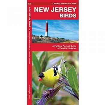 New Jersey Birds: A Folding Pocket Guide to Familiar Species