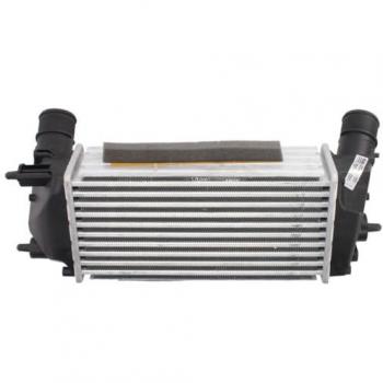 Radiador de admisión NISSENS 96498 para intercooler de FORD: Fiesta, Courrier, Ecosport, B-Max