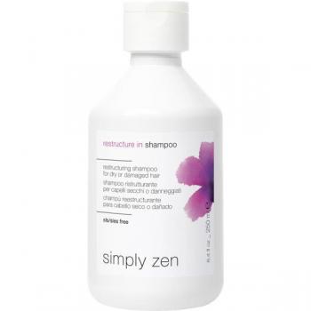Z.One Restructure-In Shampoo 250 ml - Champú reestructurante para reparar el cabello