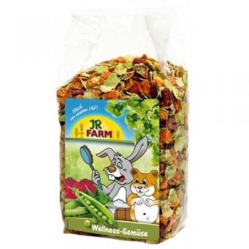 Jr Farm Wellness Vegetables 600 GR