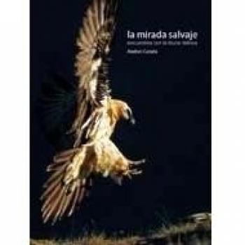 Mirada salvaje - Andoni Canela