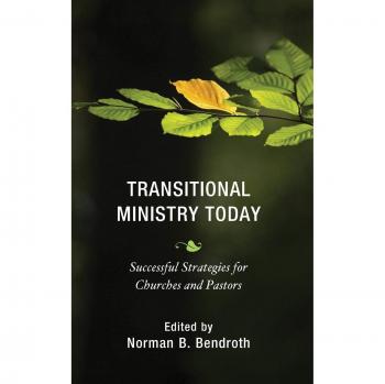 Transitional Ministry Strategies: Effective Approaches for Churches and Pastors