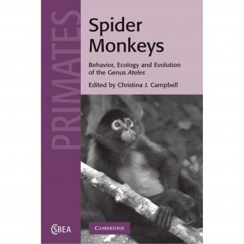 Spider Monkeys: Comprehensive Guide to Behavior, Ecology, and Biology of the Genus Ateles