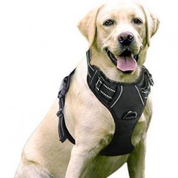 rabbitgoo Arnes Perro Grande Mediano Pequeño Arnés Pecho Antitirones Perros Coche con Lineas Reflecantes Cómodo Transpirable Chaleco Acolchado Ajustable para Adiesreamiento CorrerTamaño Grande Negro