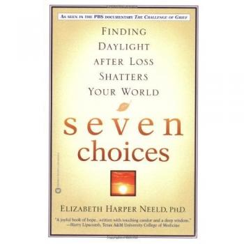 Seven Choices: Finding Daylight After Loss Shatters Your World