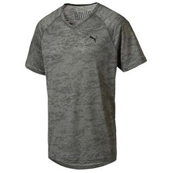 PUMA Drirelease té Camiseta, Primavera/Verano, Hombre, Color Castor Gray Heather, tamaño Small