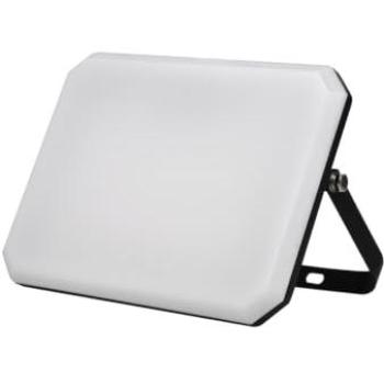 Foco LED exterior negro 50W 4000K 5000lm cubierta lechosa 230V
