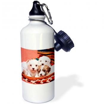 3dRose WB _ 88089 _ 1 Coton de Tulear cachorro dogs-us03 zmu0020-zandria Muench Beraldo deportes botella de agua, 21 oz, blanco