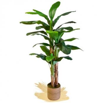 Árbol de Platanera Artificial MAIA SHOP para Decoración de Hogar, Oficina, Hoteles y Eventos