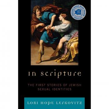 In Scripture: A Guide to Spiritual Reflection and Interpretation by Lori Hope Lefkovitz