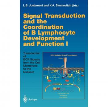 Signal Transduction and B Lymphocyte Development Coordination Book