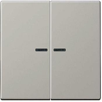 Tecla doble con 2 visores para 505KOU gris claro - Jung