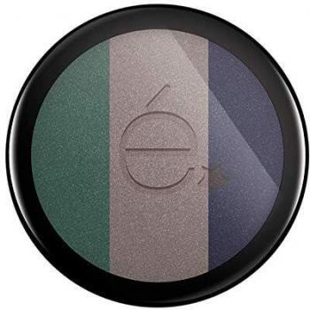 Rougj Etoile Trío de Sombras para Ojos en Tono Gris N.01
