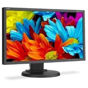NEC E224WI - Monitor de 22