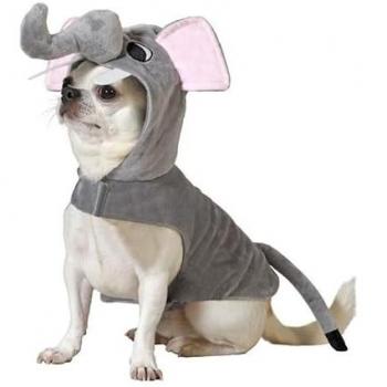 Disfraz para Perro Talla M Elefante