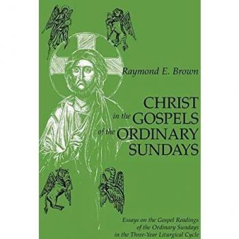 Essays on the Gospel Readings of the Ordinary Sundays: A Comprehensive Guide by Raymond E. Brown