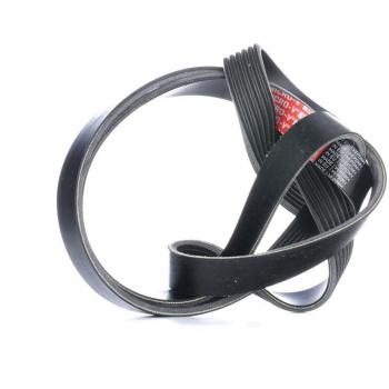 Correa trapecial poli V GATES 6PK1550XS, tipo de producto: Correa V-ribbed, características: longitud 1550 mm, ancho 6 pistas, material resistente a la abrasión y al desgaste,