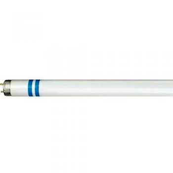 Philips 64006240 Lámpara