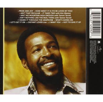 icon - Marvin Gaye