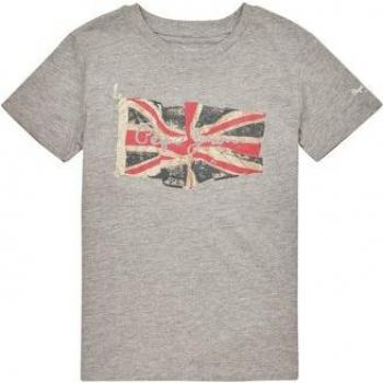 Camiseta de niño Pepe Jeans Flag Logo gris, talla 14 años