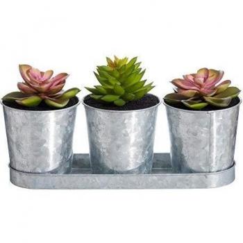 Set de 3 Plantas Artificiales de Cactus en Bandeja Verdes de PVC y Metal de 28x9x16 cm - LOLAhome