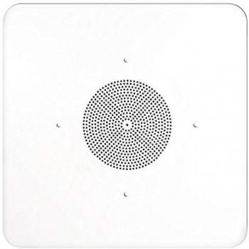 SPECO G86TG2X2 2'x2' G86 Ceiling Tile Speaker