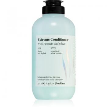Farmavita Back Bar Extreme Conditioner Nº06 - Acondicionador Extremo de Aguacate y Trigo 250ml (Cabello Muy Seco)