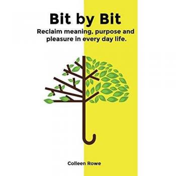 Bit a Bit: Recupera el Significado, Propósito y Placer en la Vida Cotidiana