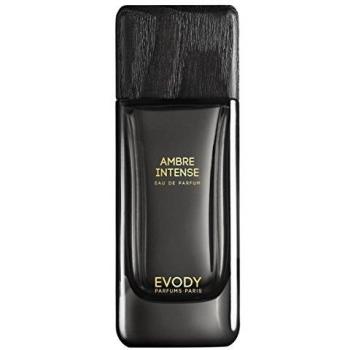 Evody Ambre Intense Unisex Eau de Parfum Spray 100 ml