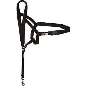 D&D 51 – 68 cm-10 cm-56 cm en Ruta Perro Control Conduce, Talla XXL, Color Negro