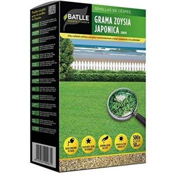 Grama Zoysia Japonica ZENITH