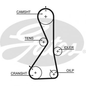 Correa dentada GATES Timing Belt 5481XS, tipo de producto: correa de distribución, características: longitud 1480 mm, número de dientes 96, ancho 25 mm, fabricada en material sintético resistente a la