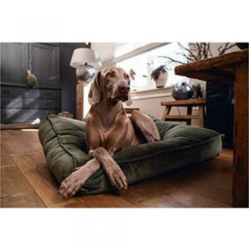 Colchón para perros Nalino Verde 100x70x15cm de Designed by Lotte