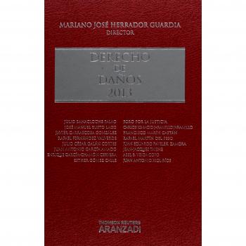 Derecho de Daños 2013