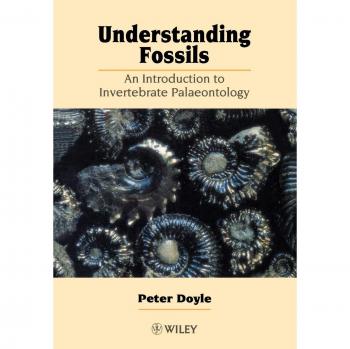 Understanding Fossils: An Introduction to Invertebrate Palaeontology