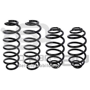 Kit de suspensión roscada Bilstein para Renault Clio 1 16S, incluye amortiguadores no ajustables y muelles BILSTEIN 48-251570